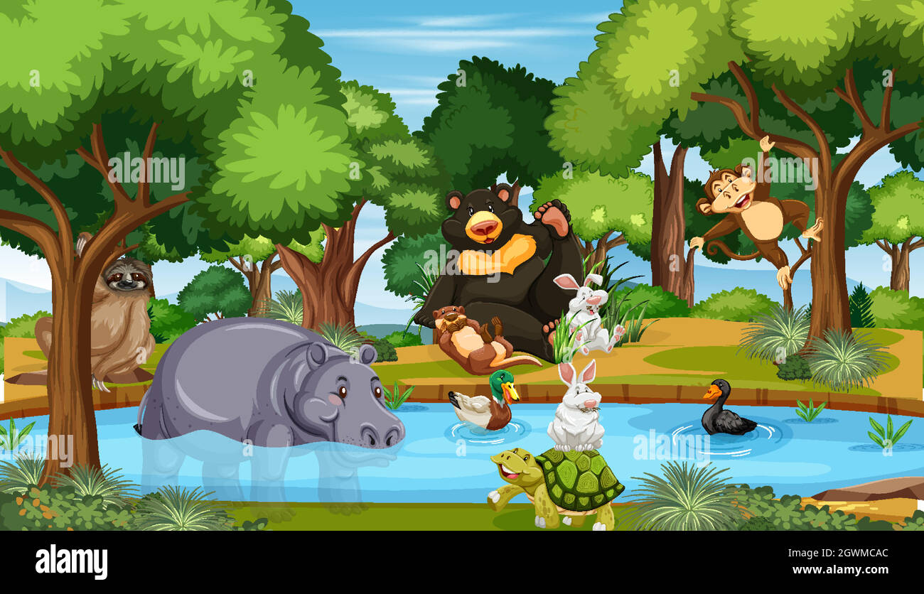 Wild animals in the jungle Stock Vector Image & Art Alamy