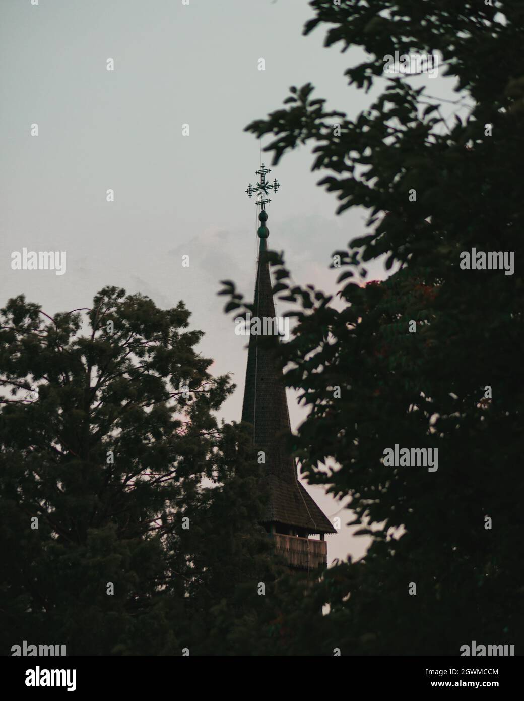 A vertical shot of the top of the cathedral with trees around Stock ...
