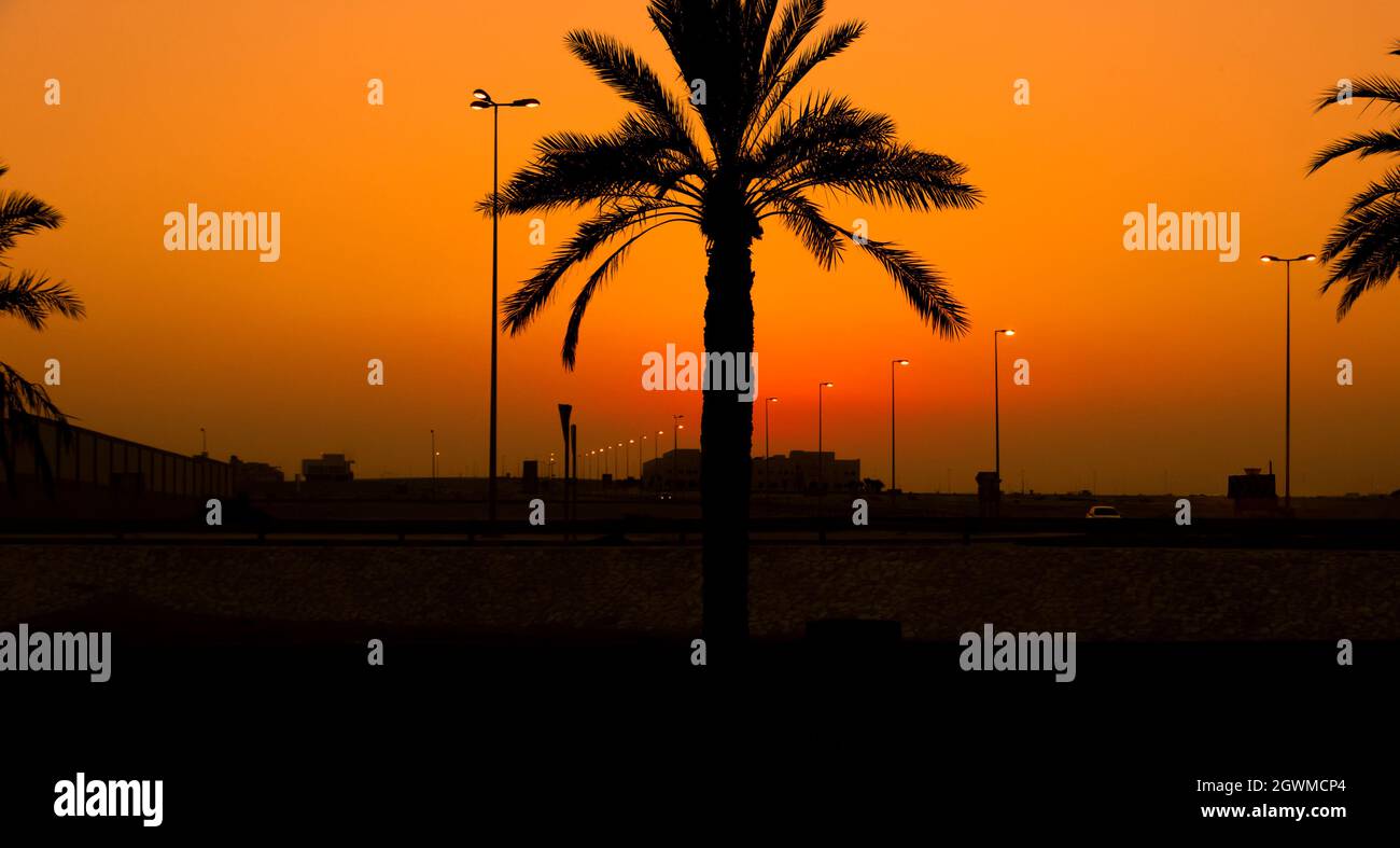 Palm Tree And Street Lights In Dark Sunset. Photo Taken From Bahrain Asker Beach. Beautiful Landscape Stock Photo