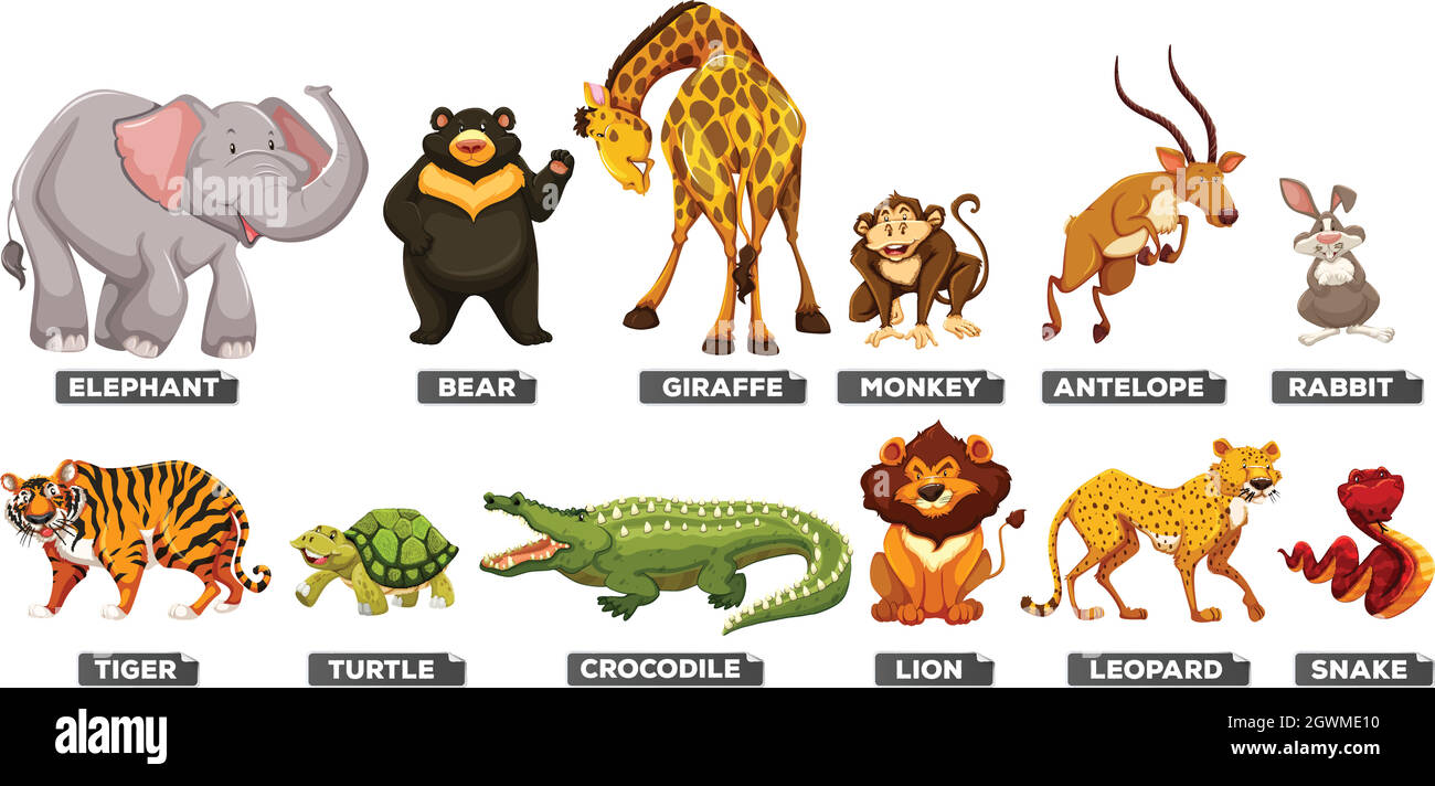 Wild animals in many types Stock Vector Image & Art - Alamy