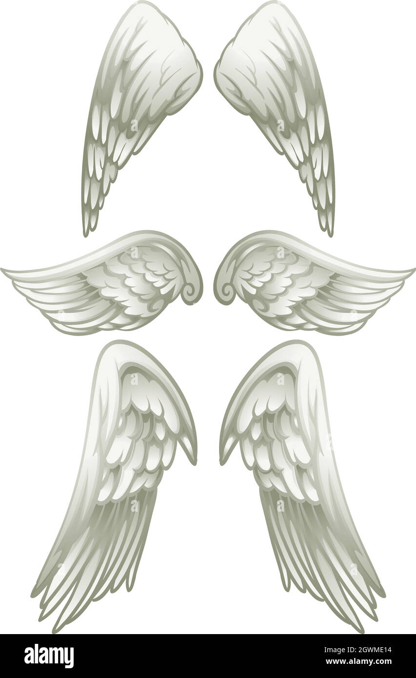 Black And White Wings Outline