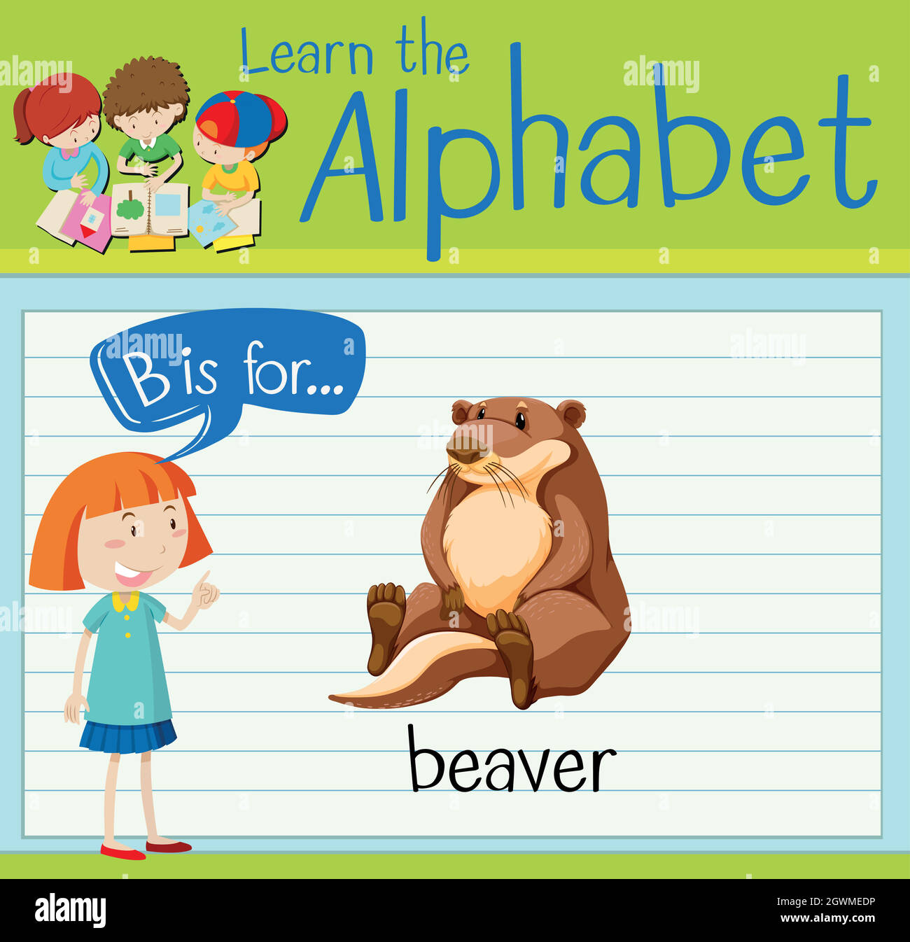 Flashcard letter B is for beaver Stock Vector Image & Art - Alamy