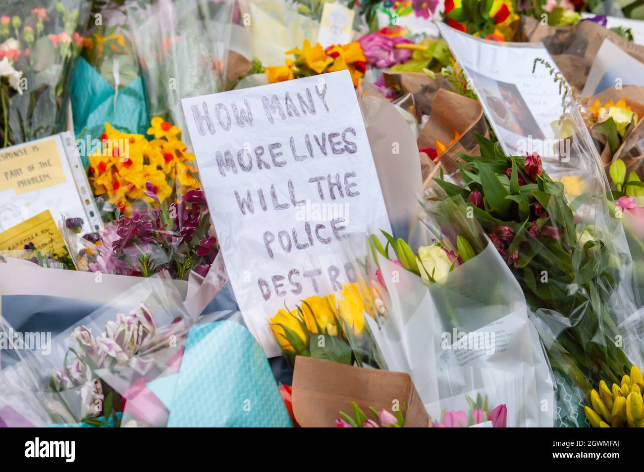 High Angle View Of Various Flowers In Shop Stock Photo