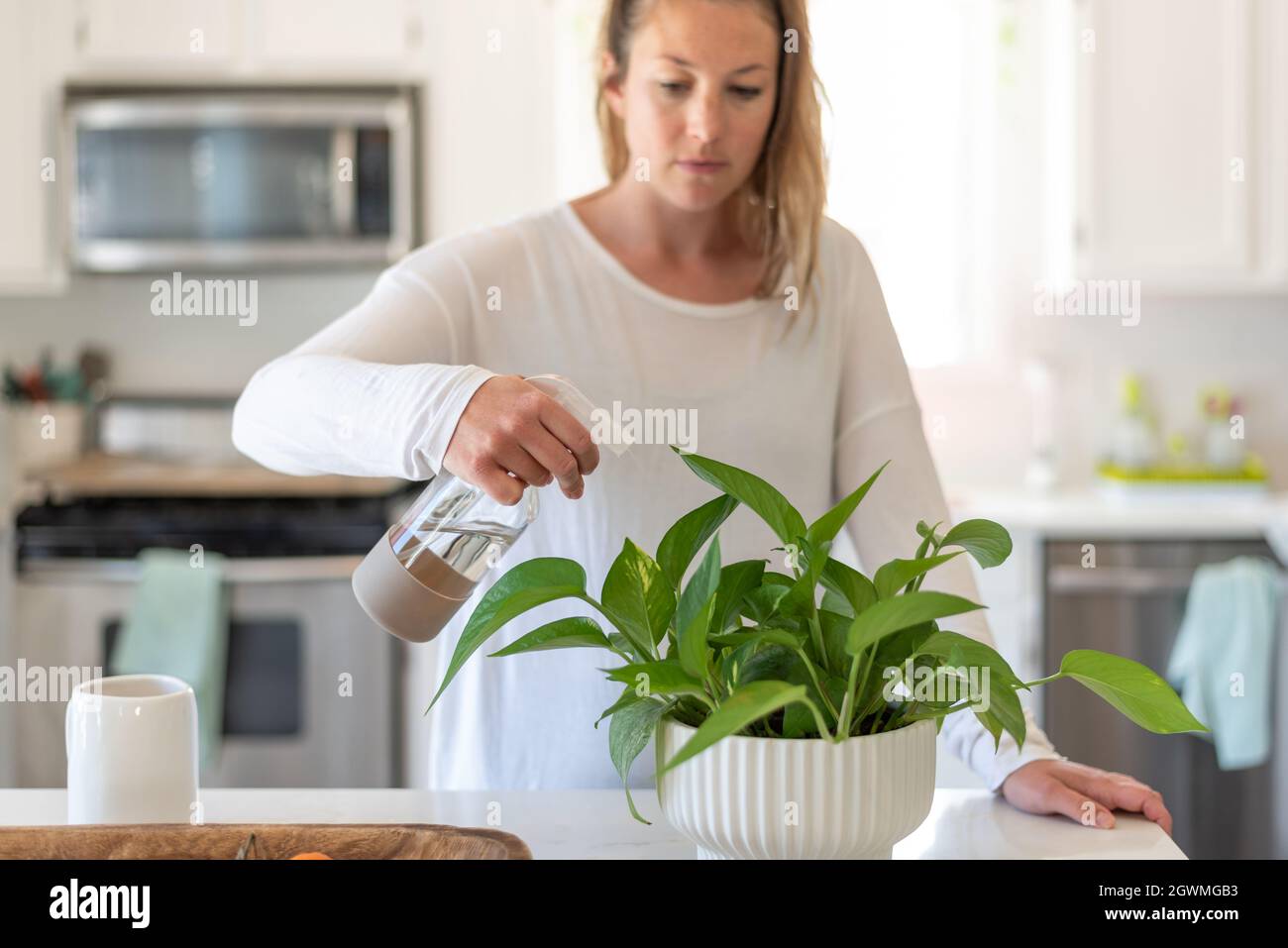 Woman Spraying Water On Plants At Home Stock Photo Alamy