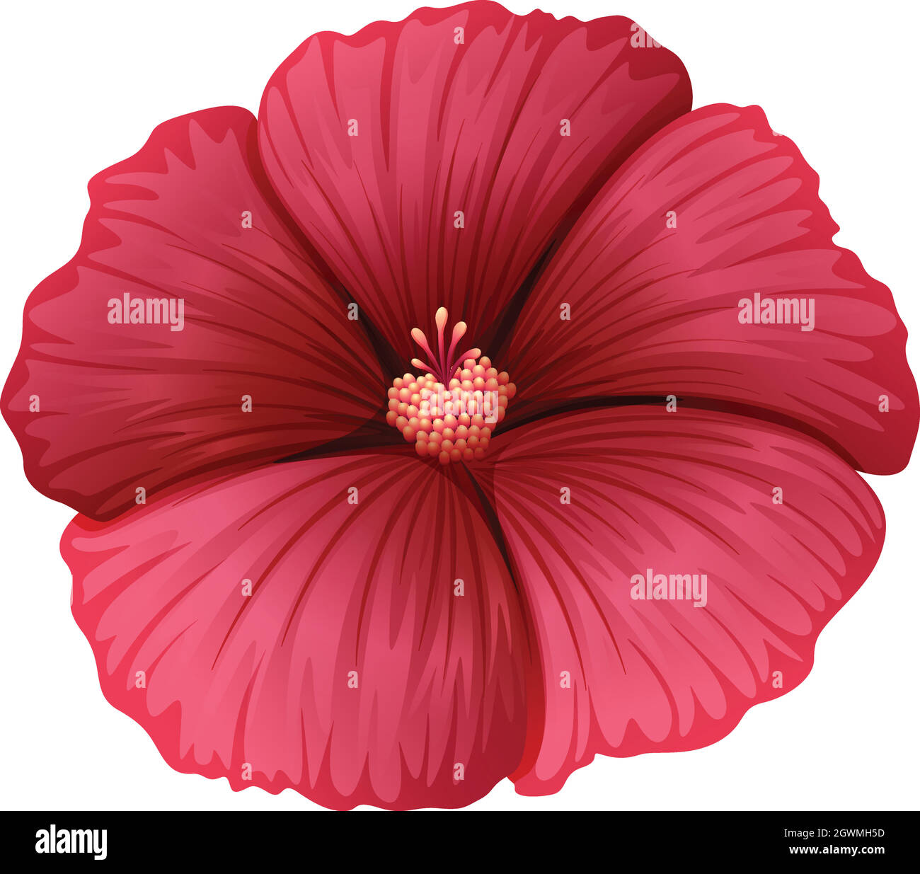 A red flower Stock Vector