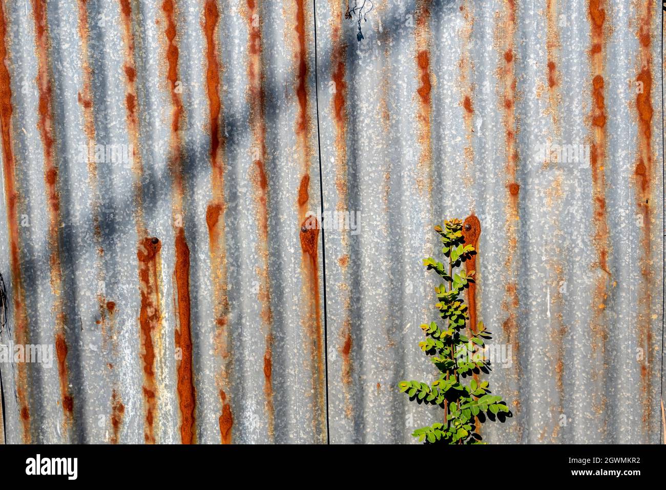 Galvanized Steel Surface With Rust Spots Using As Background Stock