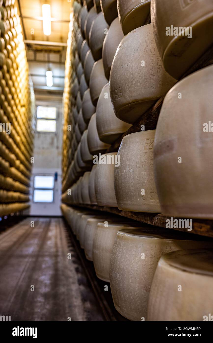 Stack Of Parmesan Cheese Wheels In A Warehouse Stock Photo Alamy