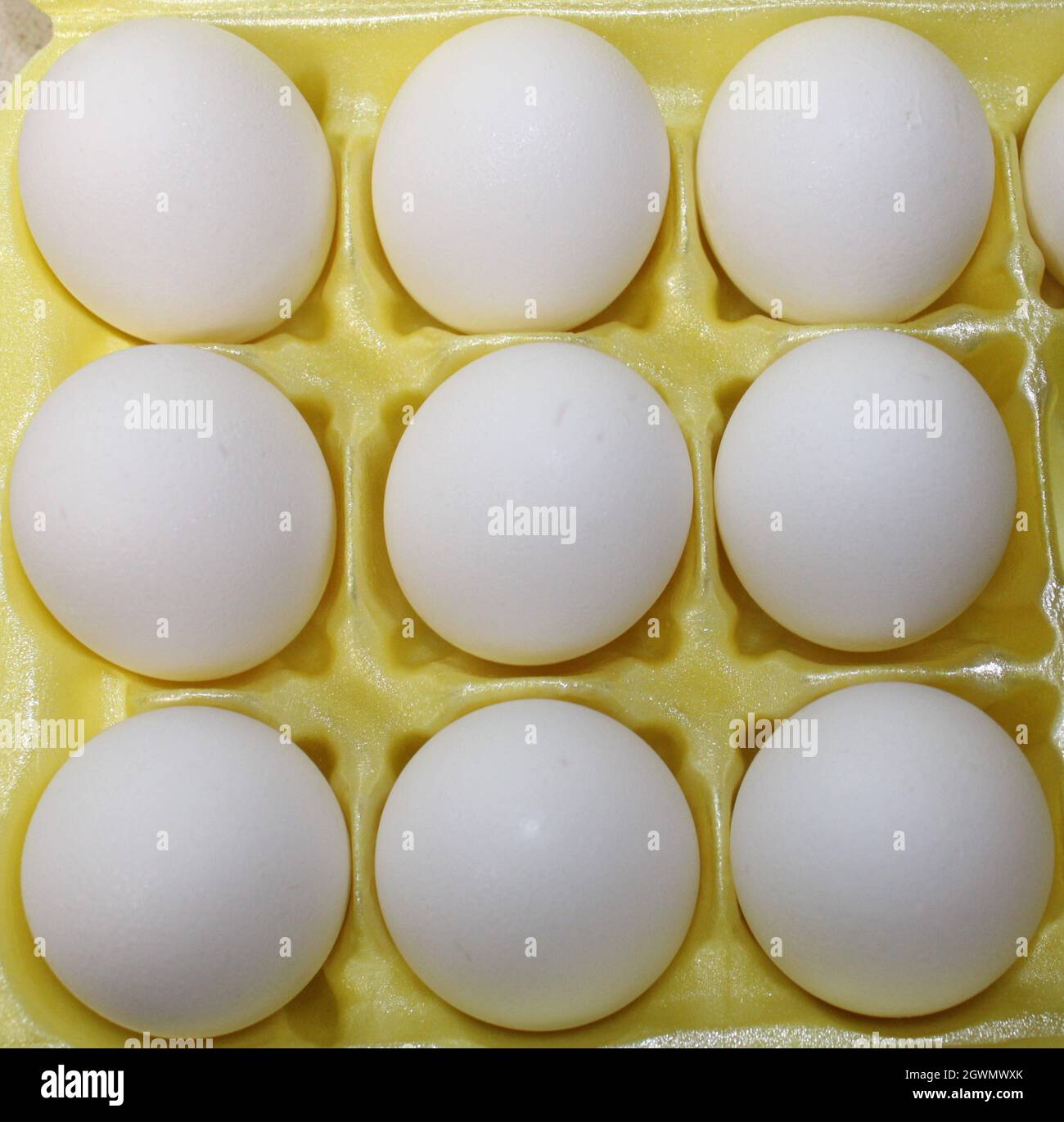 Nine fresh organic white eggs. Stock Photo
