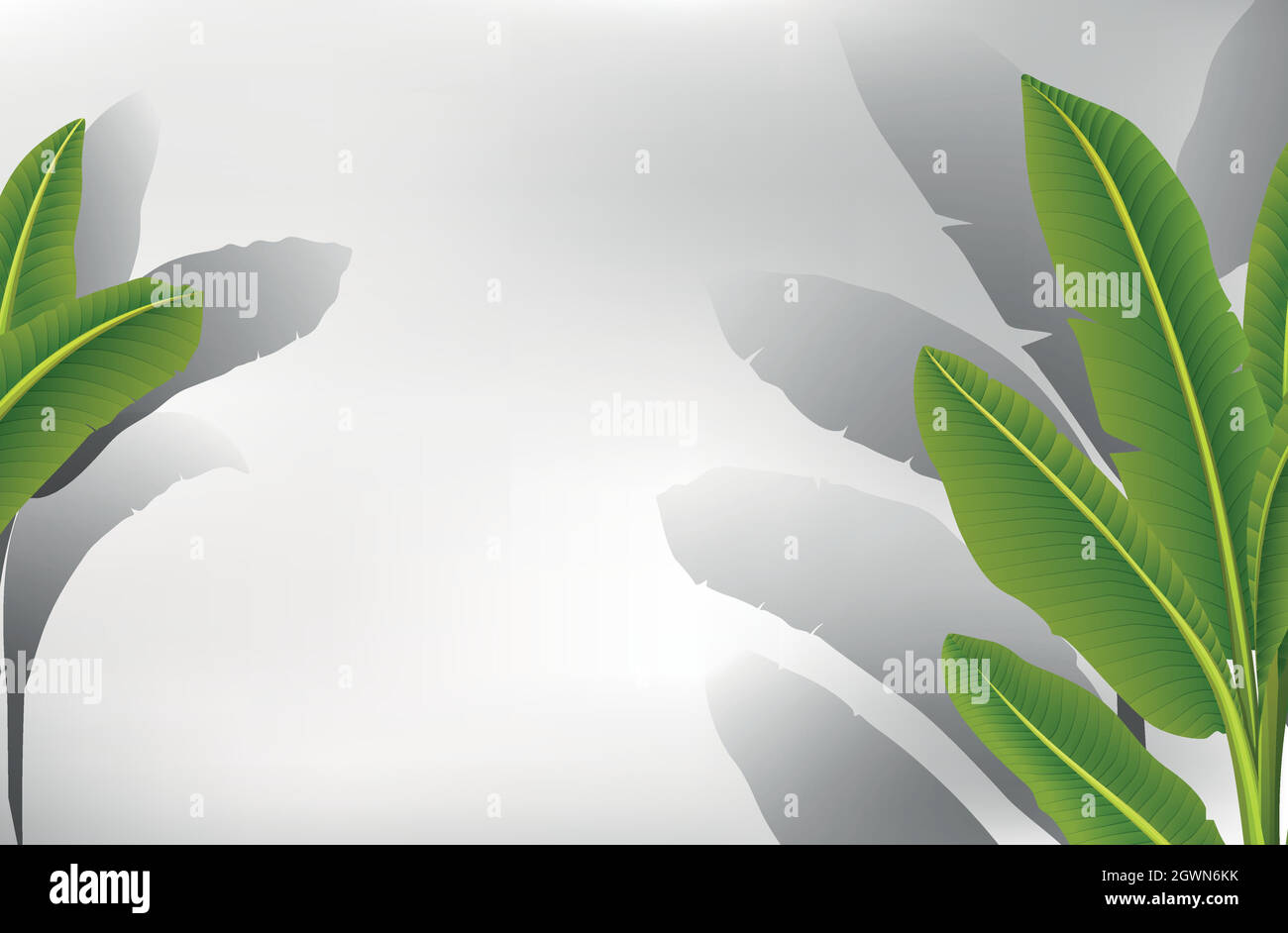 Banana leaf border template Stock Vector Image & Art - Alamy