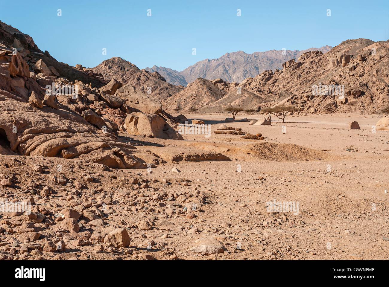 Remote landscape at the Sinai Desert near Sharm el Sheik, Egypt Stock Photo