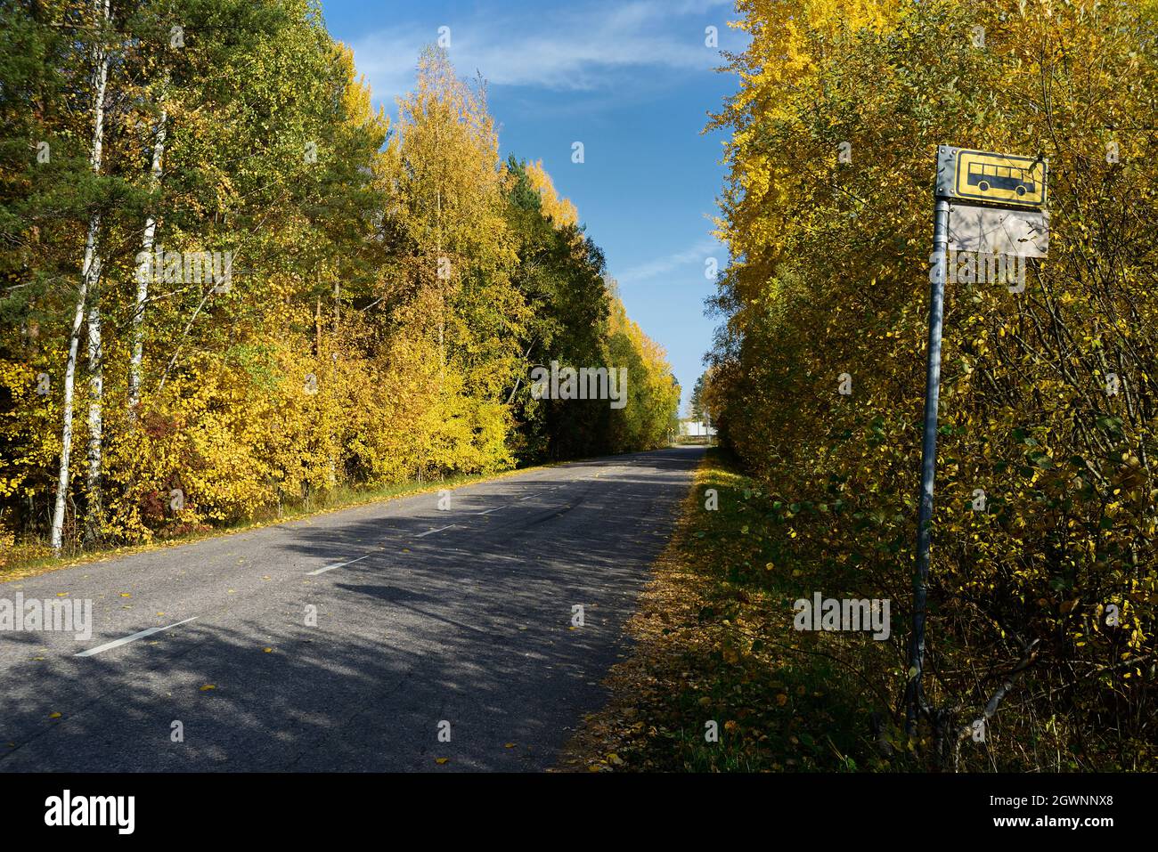 bus stop on a country road in Finland in autumn Stock Photo