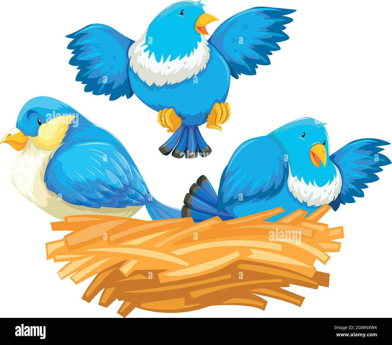 Three blue birds in the nest Stock Vector Image & Art - Alamy