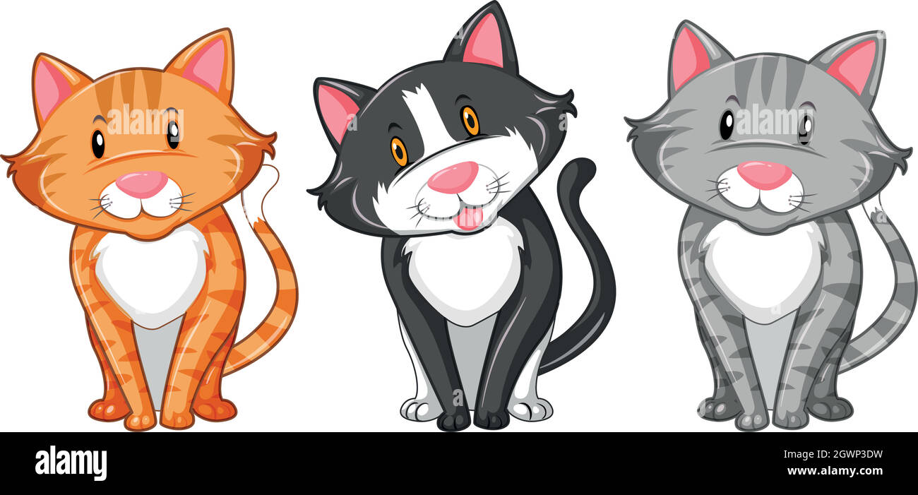 Three kittens on white background Stock Vector Image & Art - Alamy