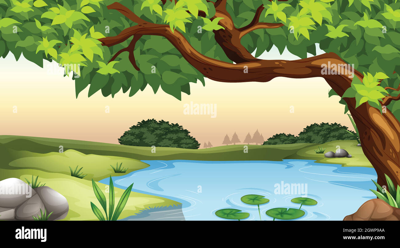 Pond Stock Vector