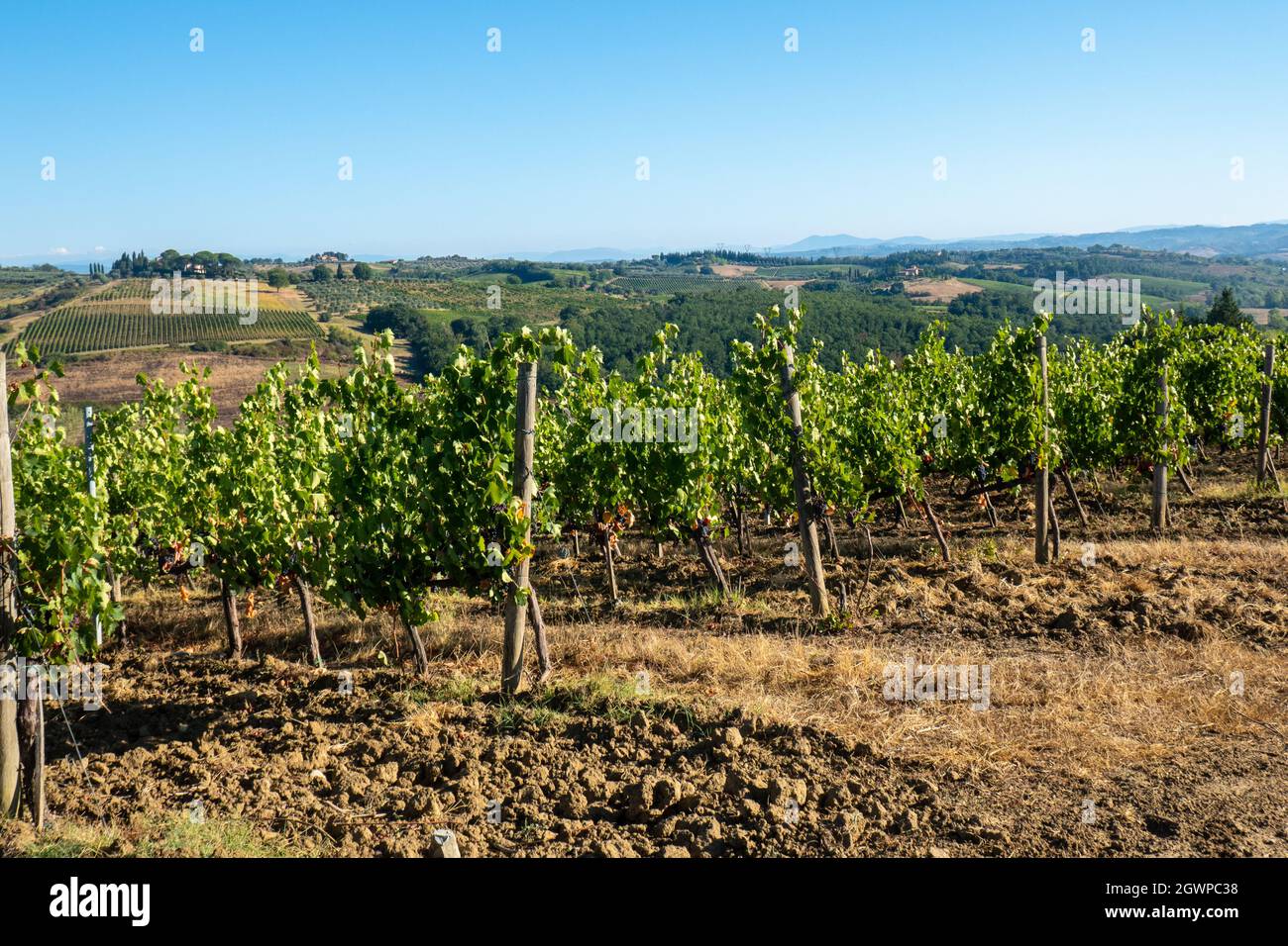 Landscape Along Via Francigena, Tuscany Stock Photo - Alamy