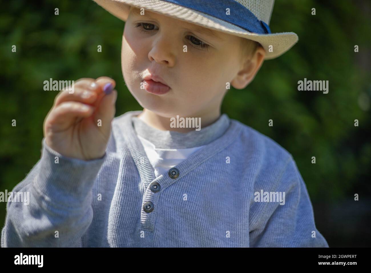 Portrait Of Cute Boy Wearing Hat Stock Photo Alamy