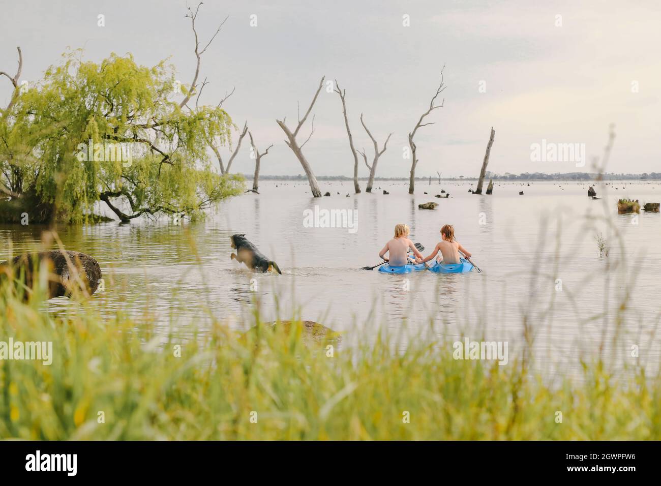Children kayaking in Summer at Kow Swamp Victoria Australia Stock Photo