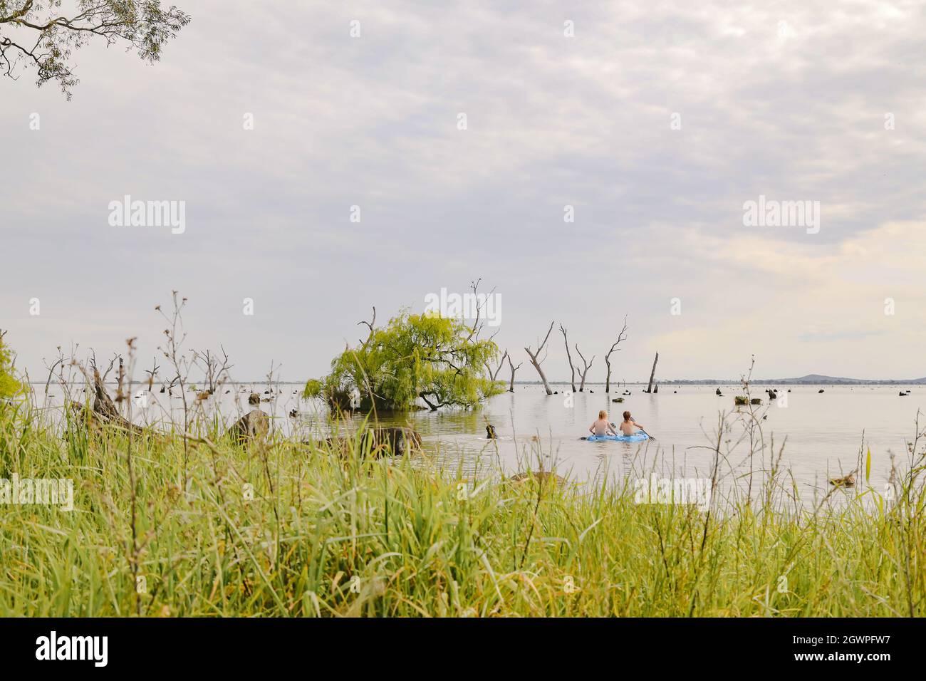 Children kayaking in Summer at Kow Swamp Victoria Australia Stock Photo