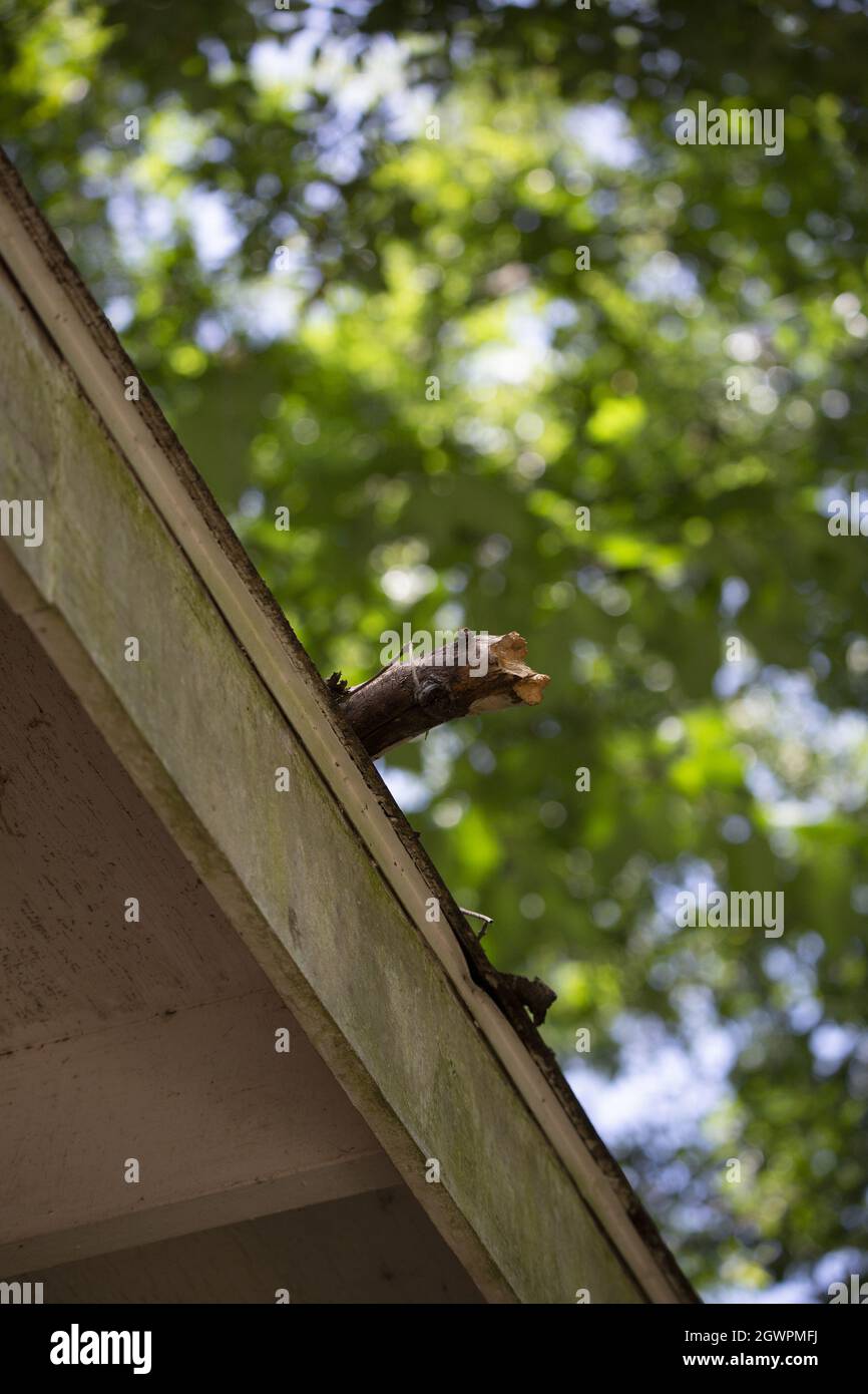 Large, broken stick partially hanging off a roof Stock Photo Alamy