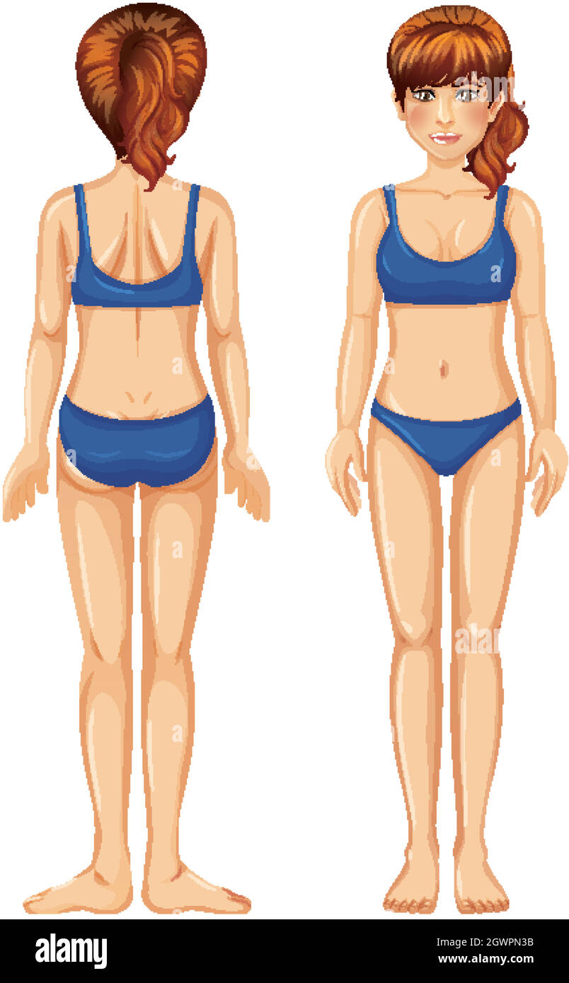 Woman in blue bikini front and back view Stock Vector