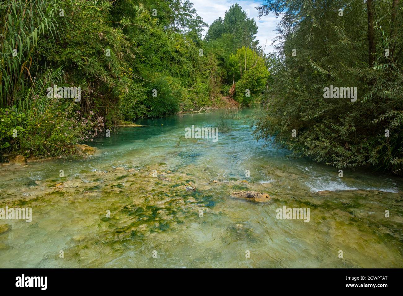 parco-fluviale-dell-elsa-river-parc-of-elsa-in-colle-val-d-elsa