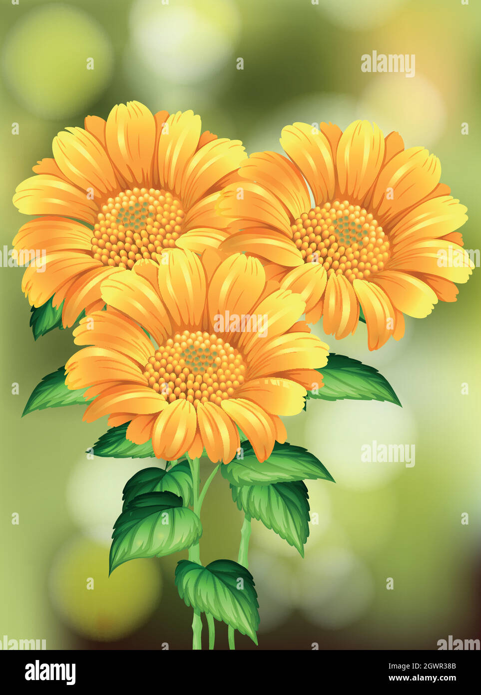 Beautiful Sunflower on Nature Background Stock Vector Image & Art - Alamy