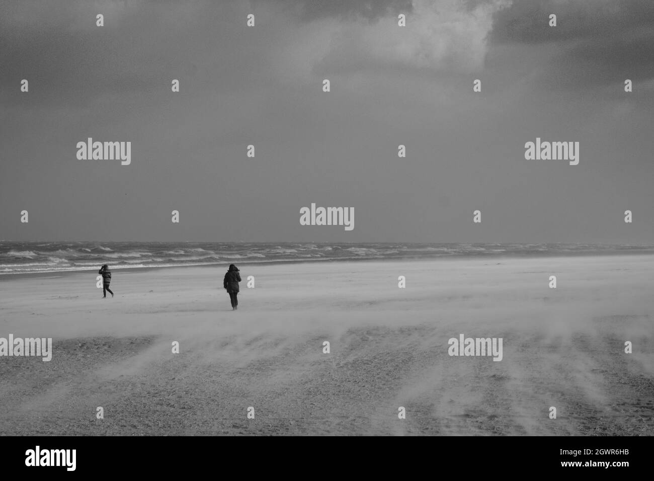 Windy day on the beach in black and white hi-res stock photography and ...