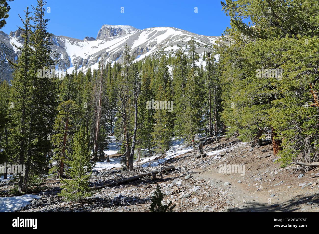 The trail with the view at Wheeler Peak - Great Basin National Park, Nevada Stock Photo
