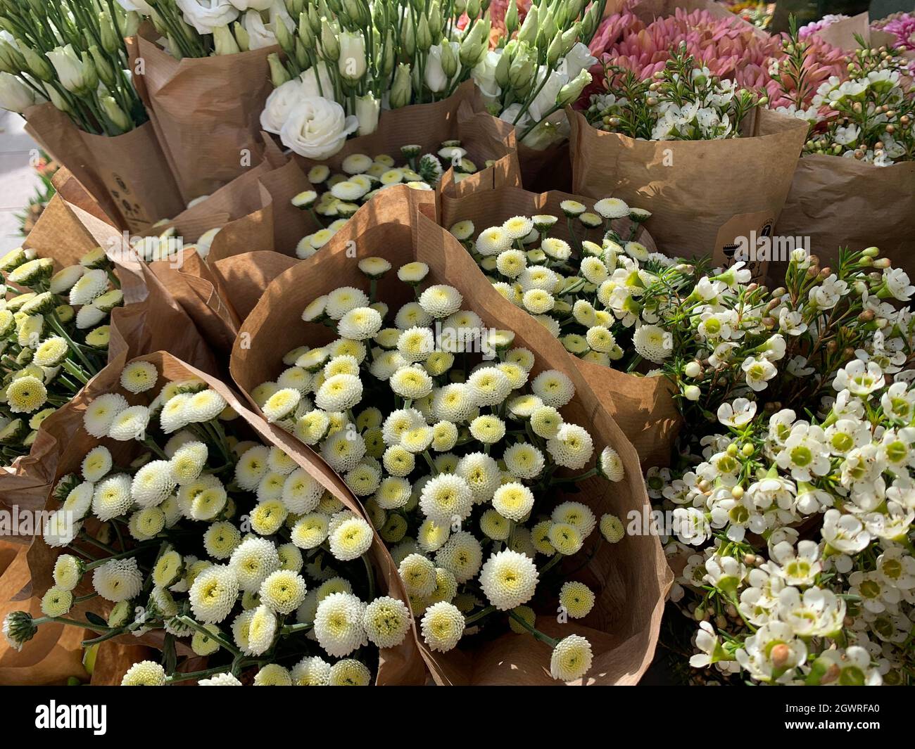 High Angle View Of Flowering Plants In Market Stock Photo