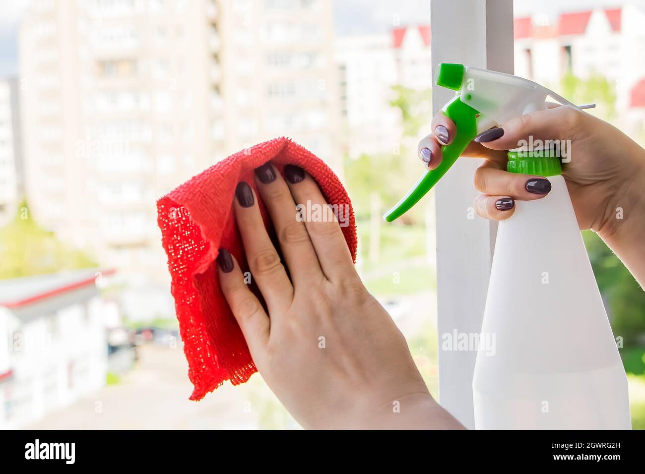 Window Cleaning. A Young Woman Sprays A Cleaner On Glass. Housework