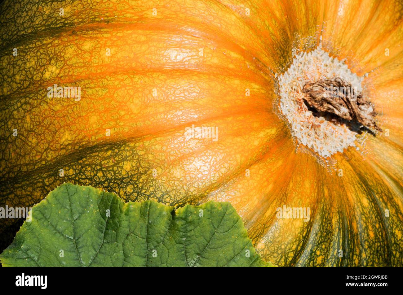 Growing up in family hi-res stock photography and images - Alamy