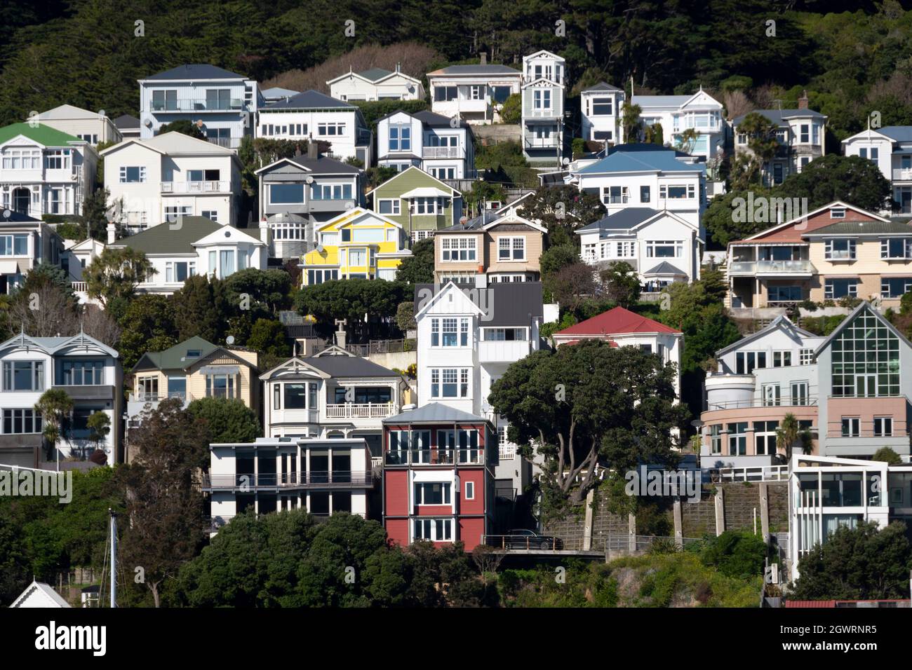 Houses on Mount Victoria, Wellington, North Island, New Zealand Stock