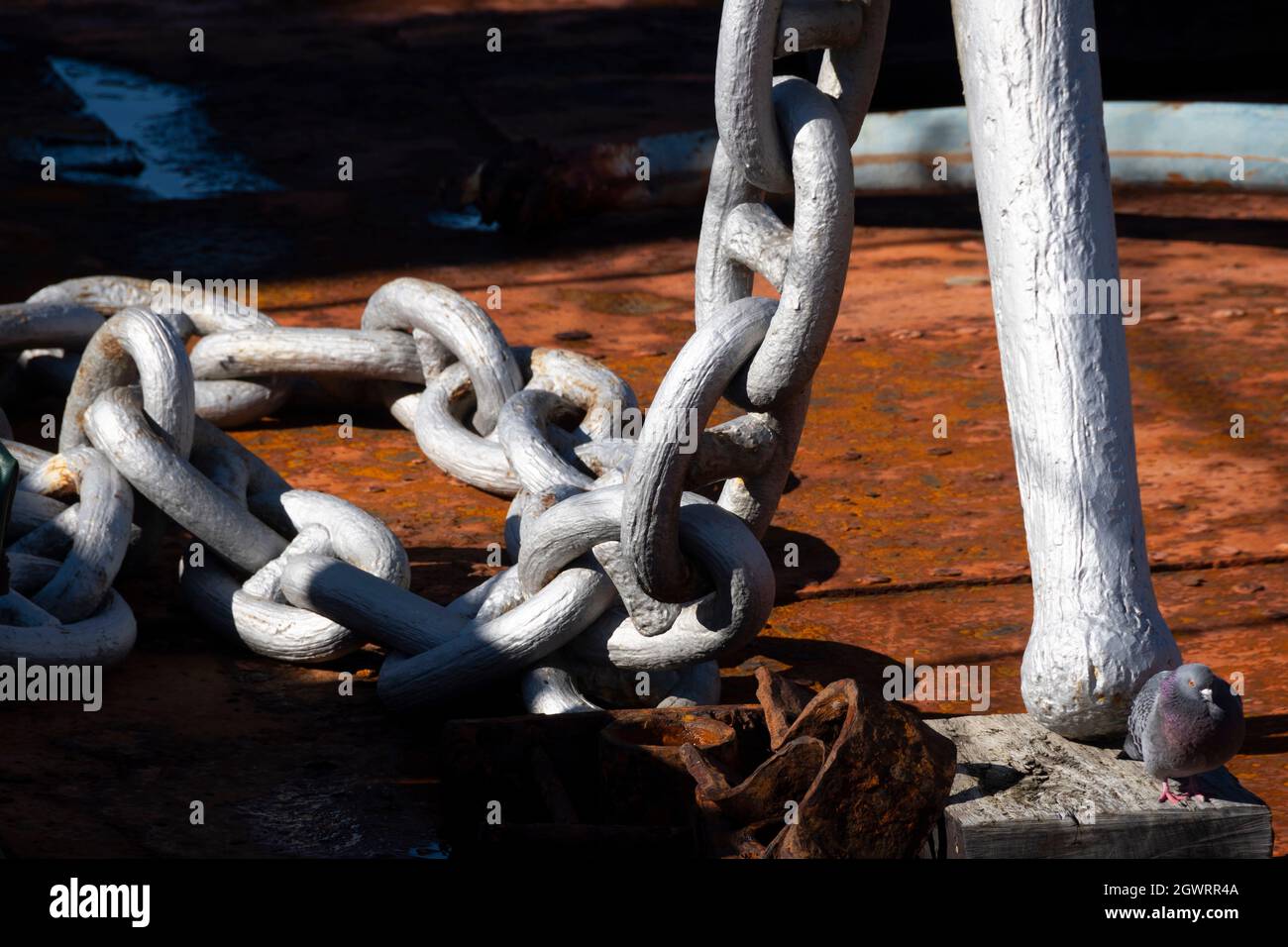 Anchor chains on floating crane, Wellington, North Island, New Zealand