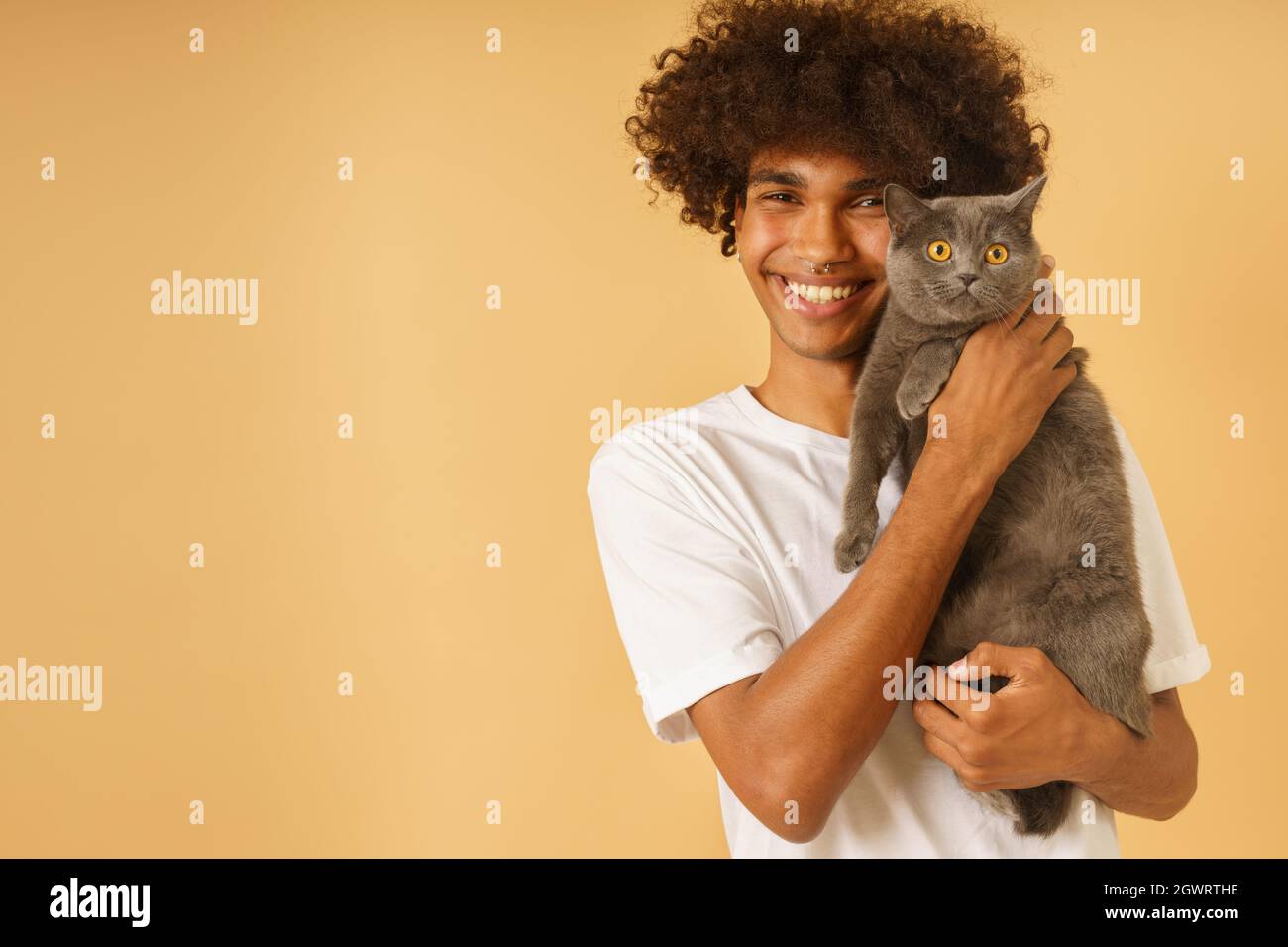 Afro happy man takes care of his grey cat Stock Photo