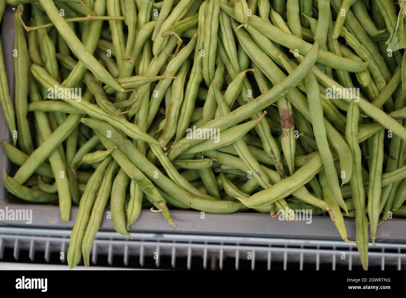 Green Beans For Sale In Supermarket Stock Photo
