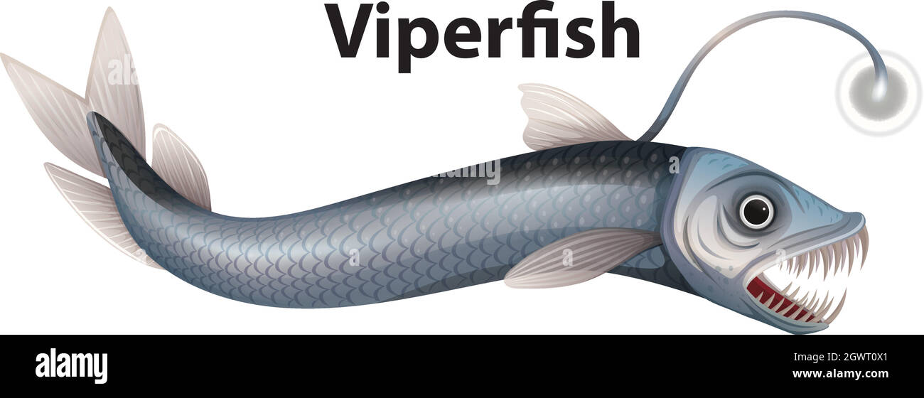 Wordcard design for viperfish with white background Stock Vector