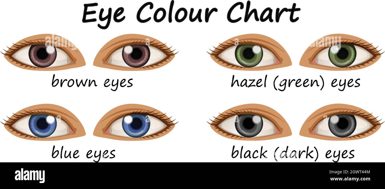 Human eyes different colors hi res stock photography and images