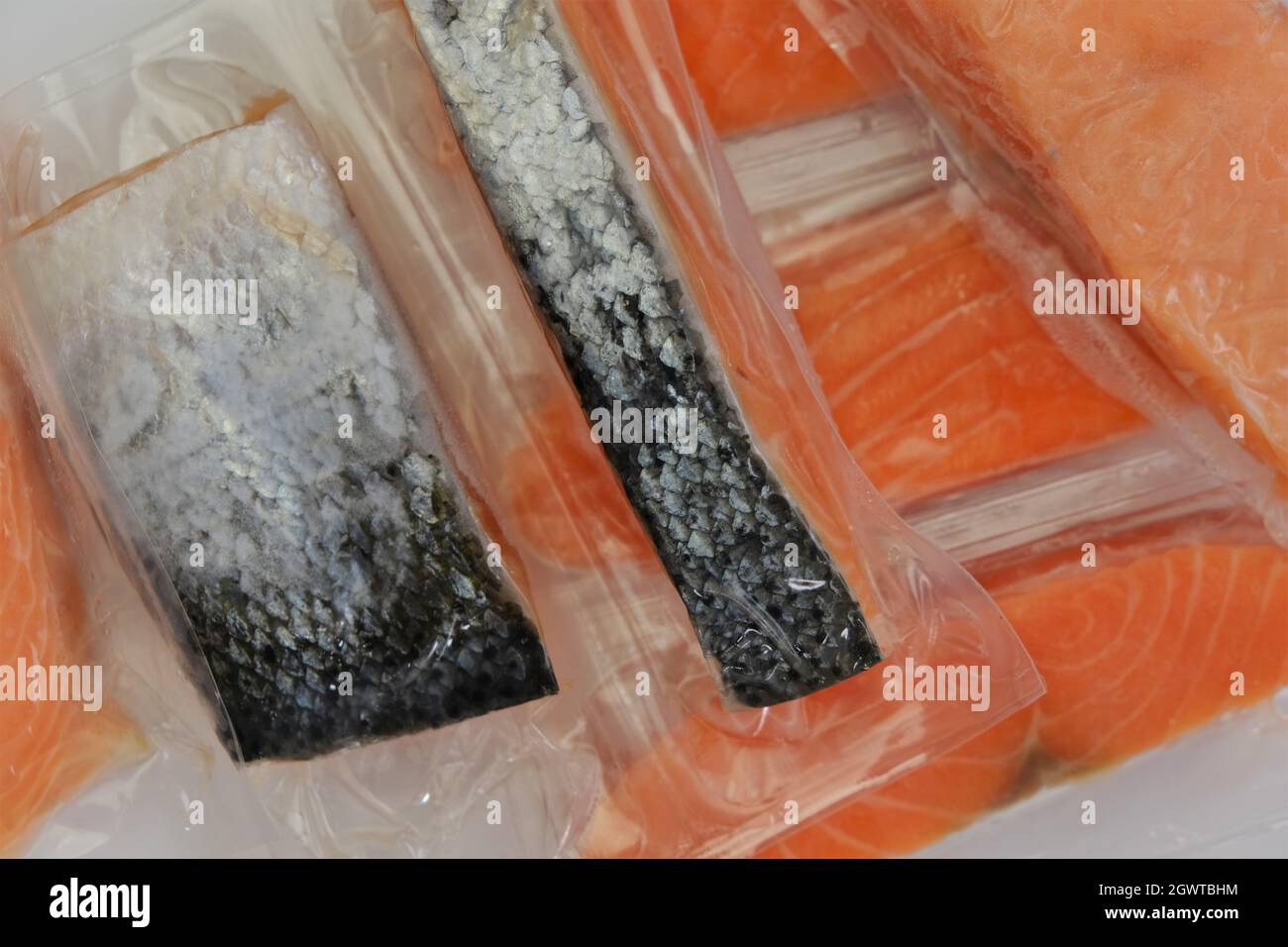 https://c8.alamy.com/comp/2GWTBHM/salmon-fish-fish-pieces-pieces-of-frozen-salmon-in-vacuum-bagsprotein-foodsvacuum-packed-products-2GWTBHM.jpg