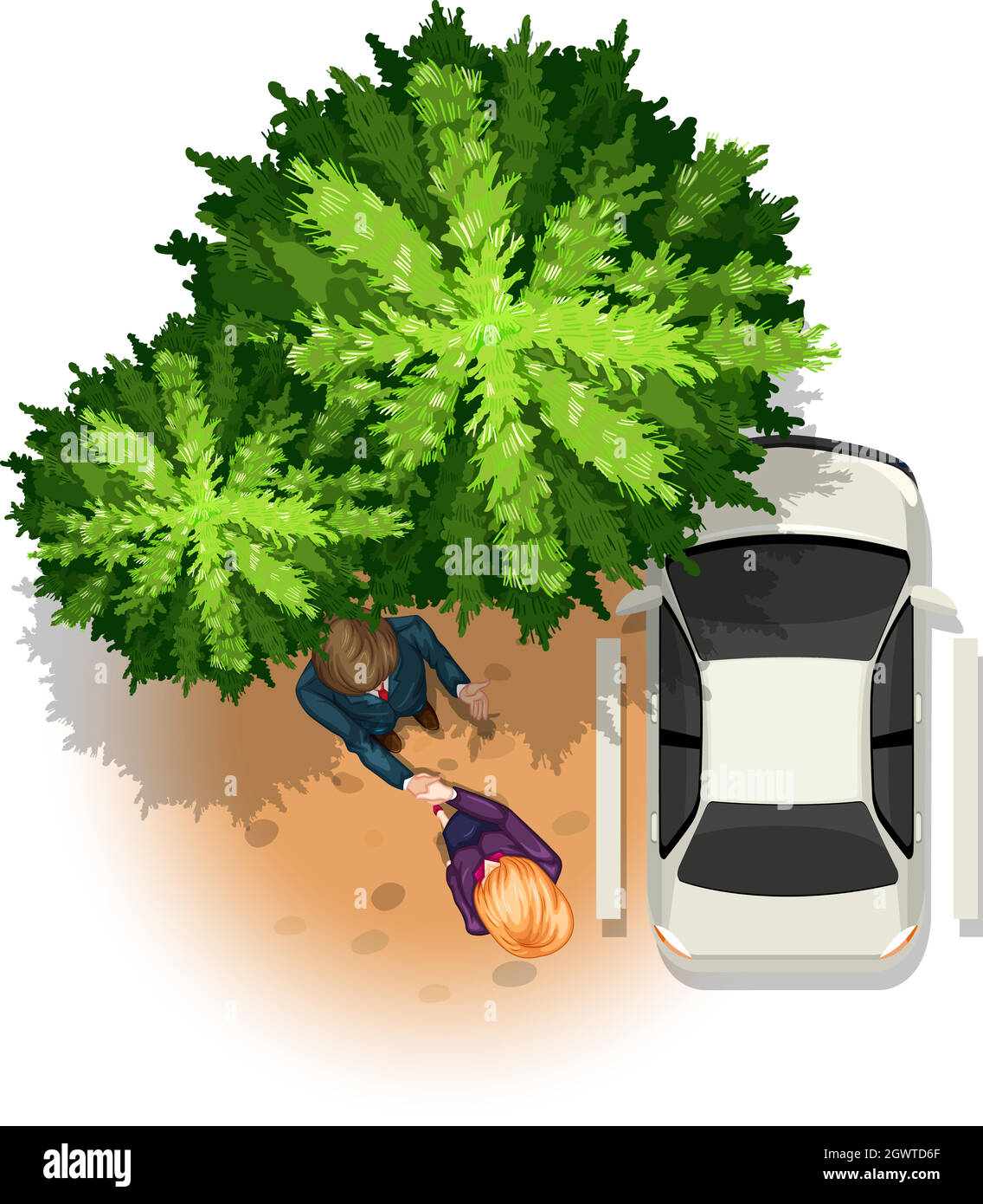 Trees top down view Stock Vector Images Alamy