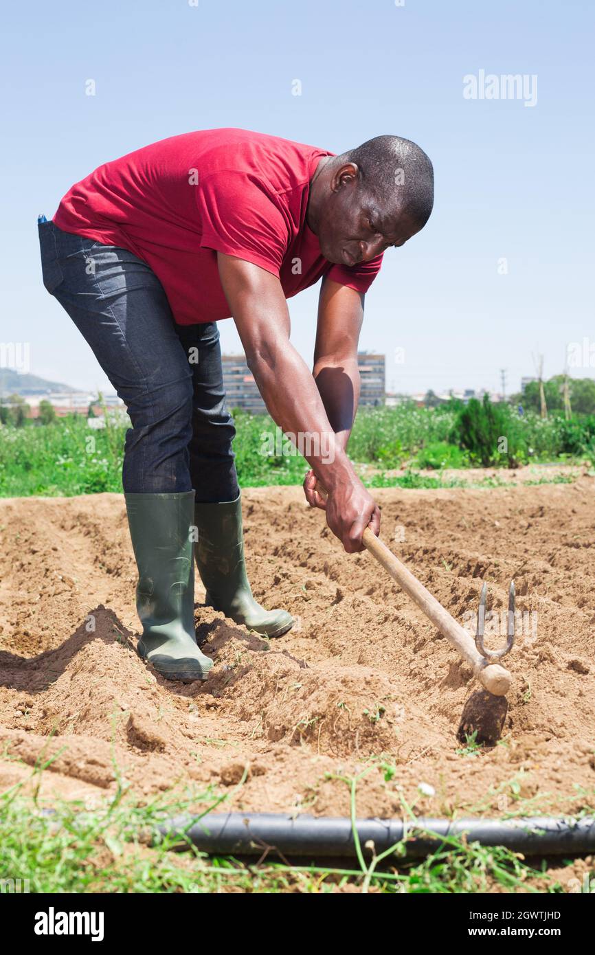 African american man professional horticulturist with garden shovel ...