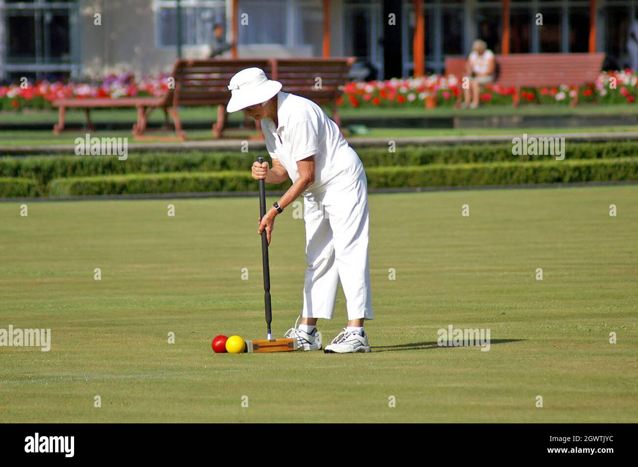 Woman uses croquet mallet hitting ball hires stock photography and