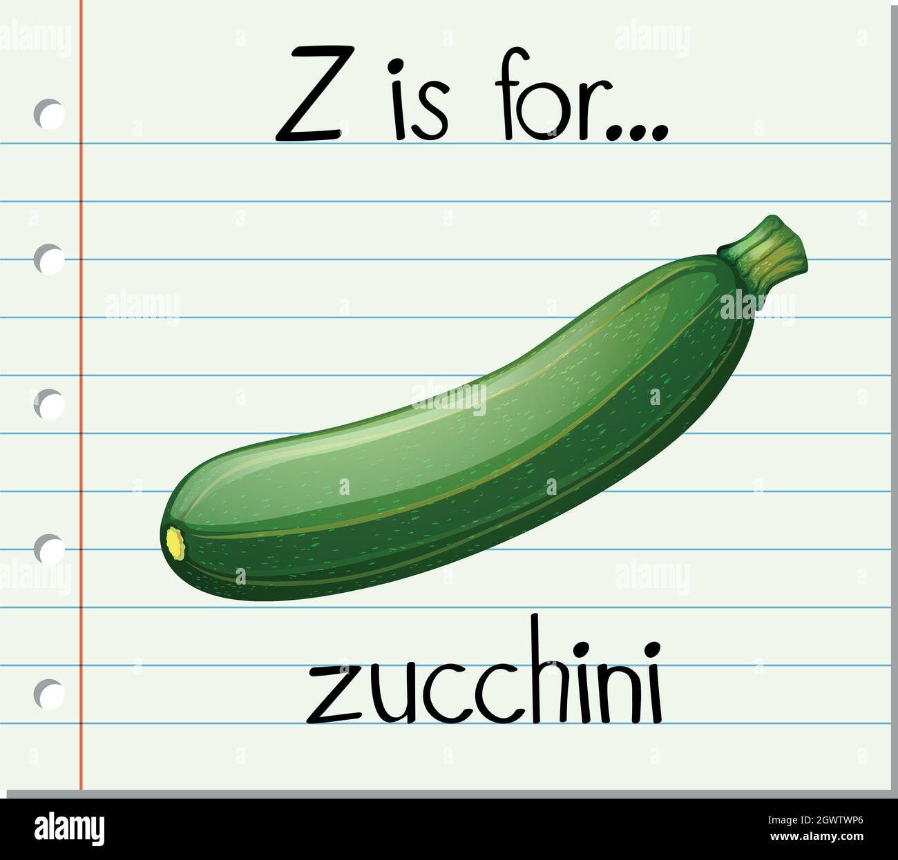 Flashcard letter Z is for zucchini Stock Vector