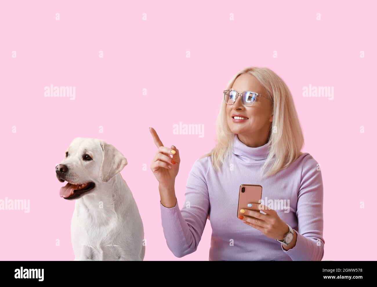 Mature woman with mobile phone and cute Labrador dog pointing at something on pink background Stock Photo