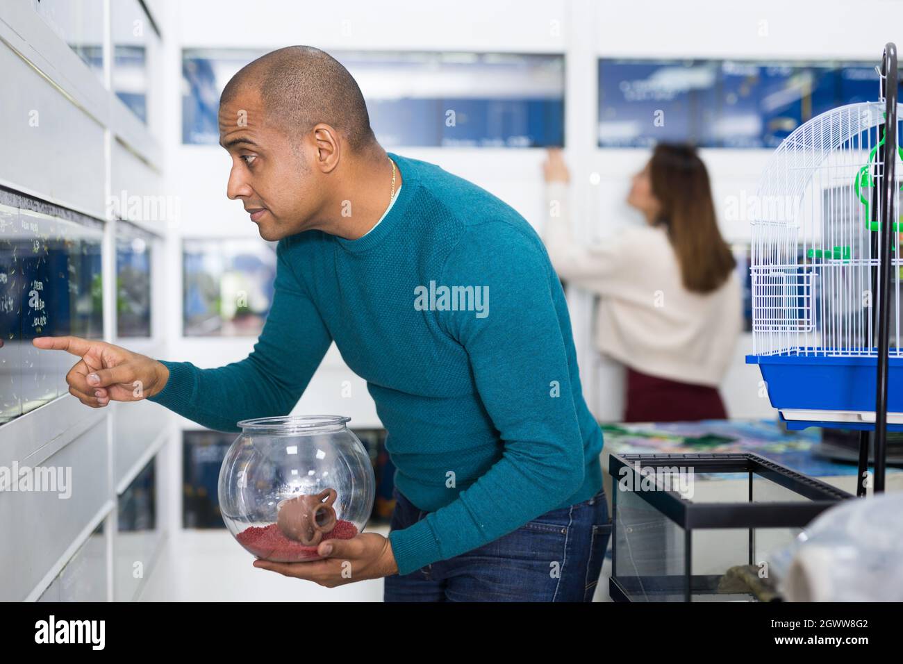 Portrait of interested man looking at colorful tropical fish in ...