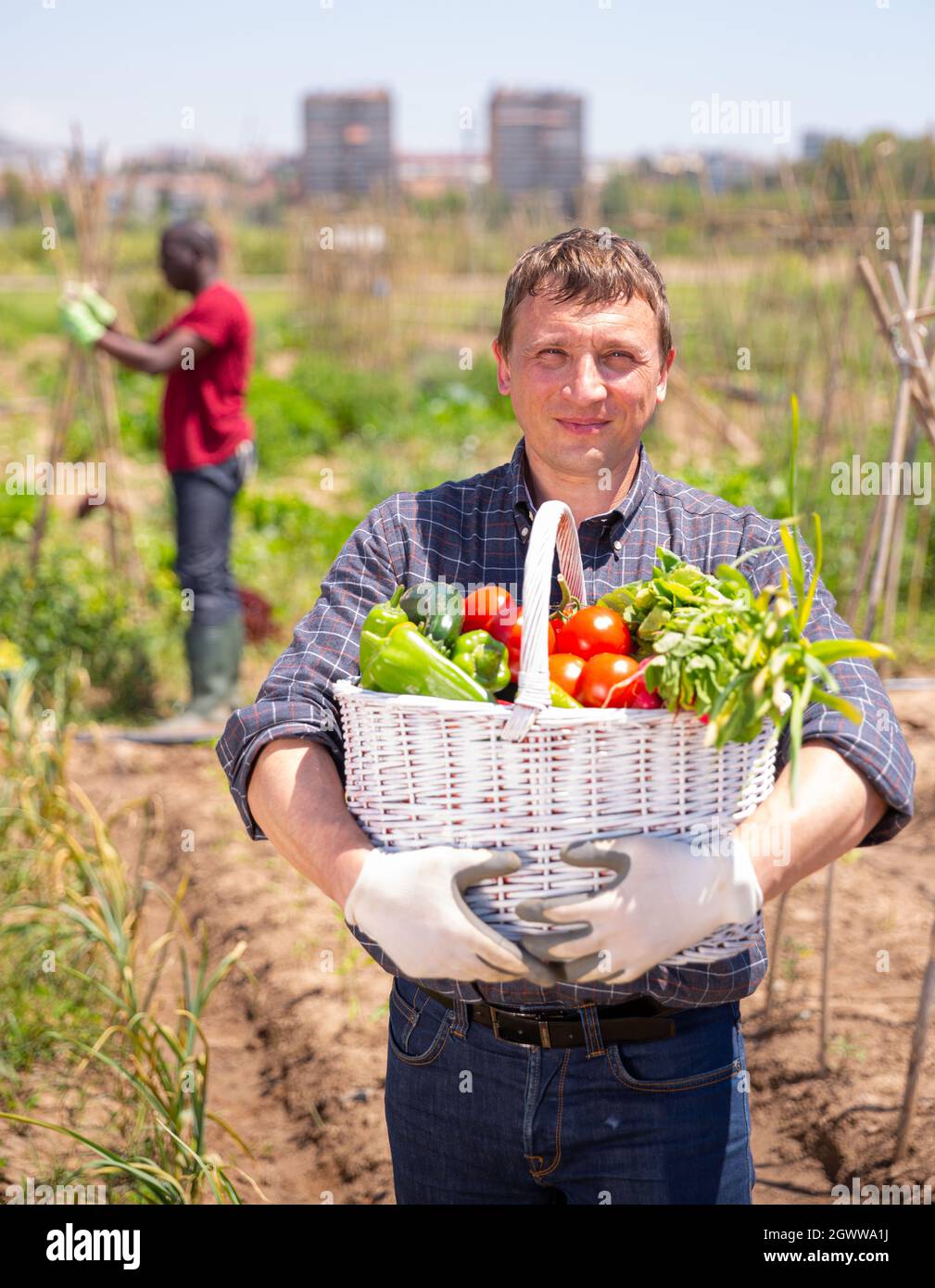 Happy farmer with basket of vegetables in the garden Stock Photo - Alamy