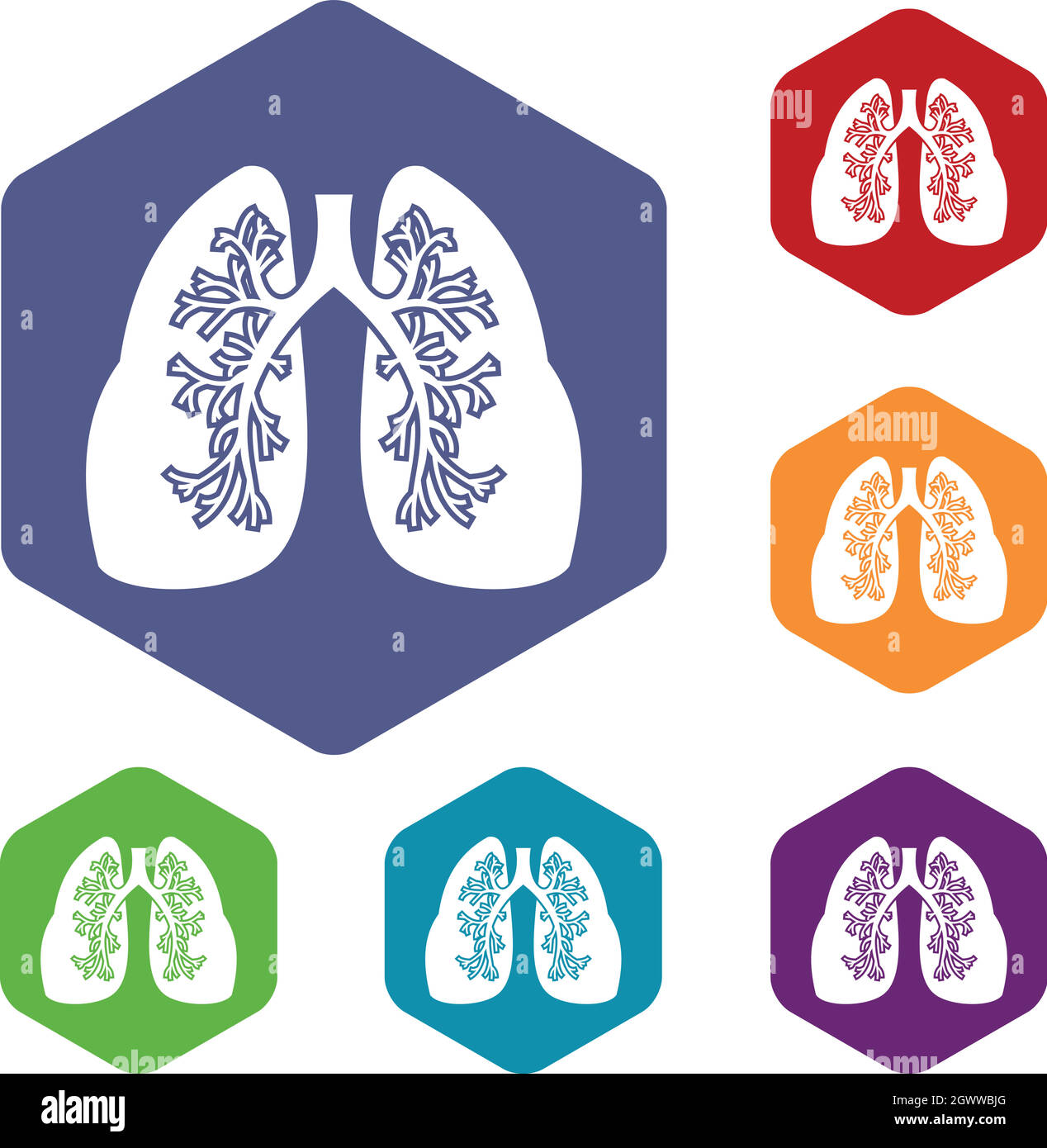 Lungs icons set Stock Vector