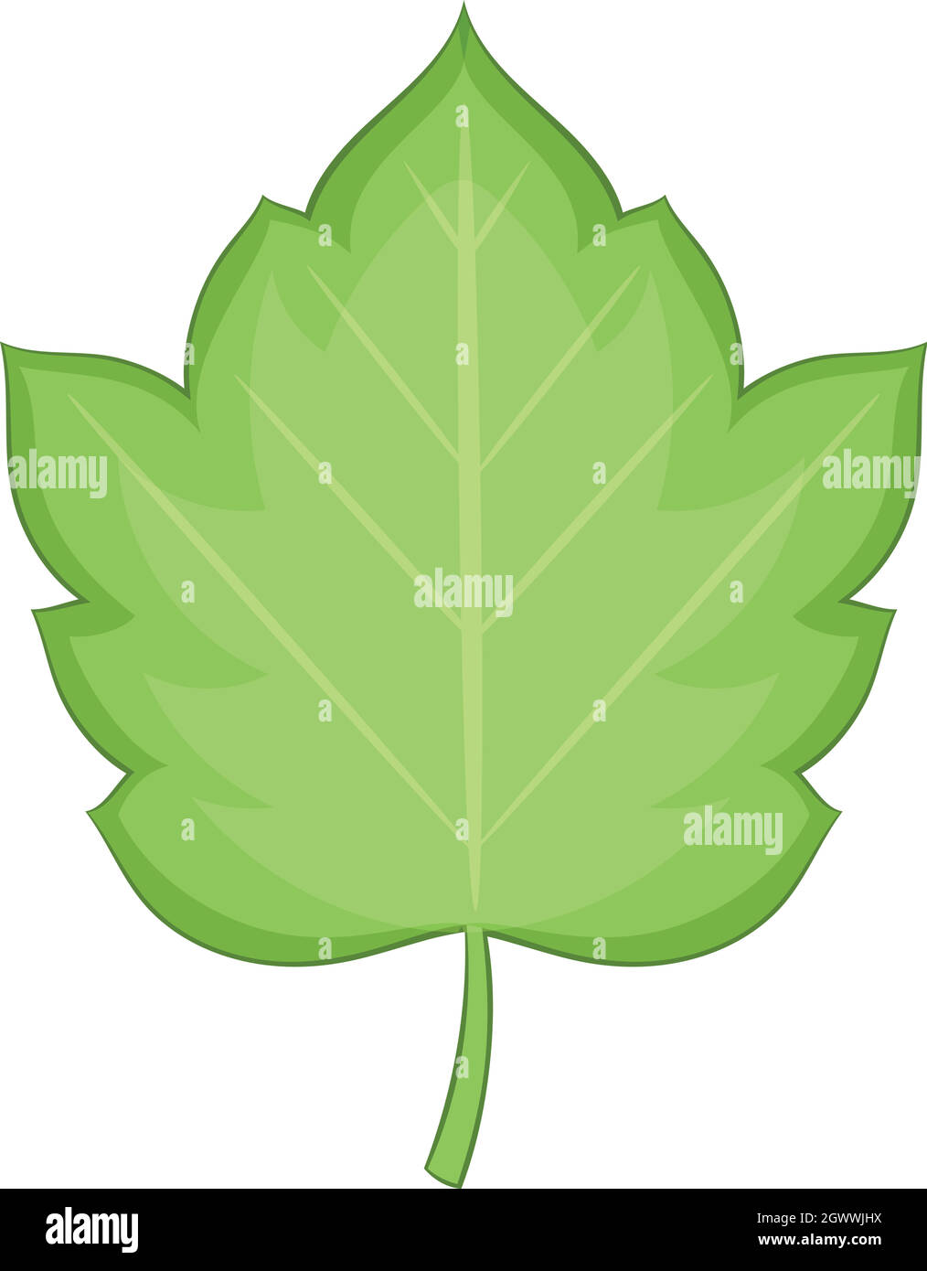 Hawthorn leaf icon, cartoon style Stock Vector