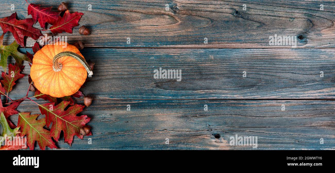 Side border of a real pumpkin, acorns and colorful foliage leaves on ...
