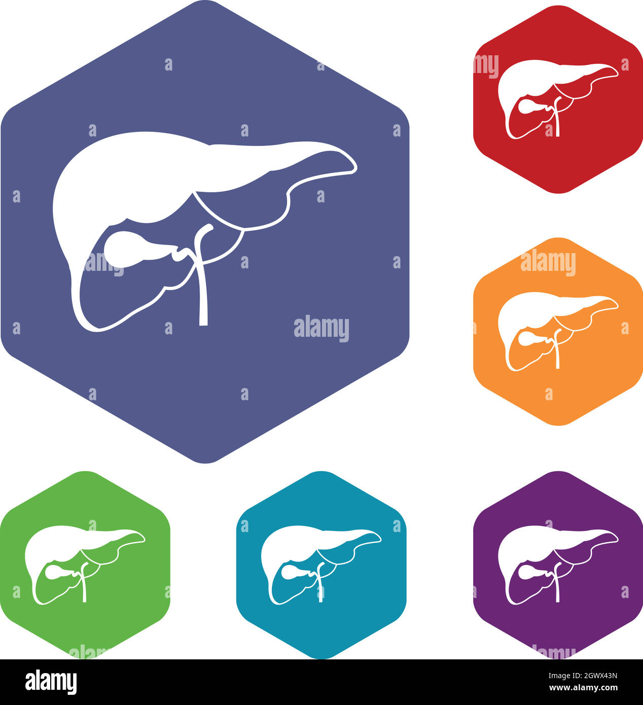 Liver icons set Stock Vector Image & Art - Alamy
