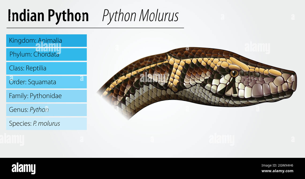 Indian science Stock Vector Images - Alamy